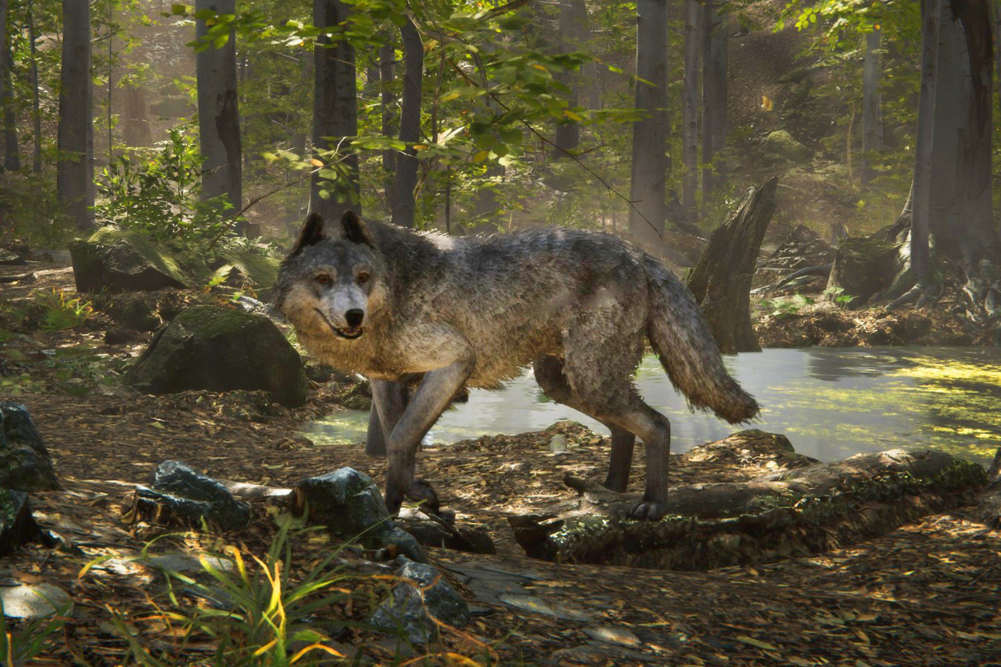 Realistic Wolf