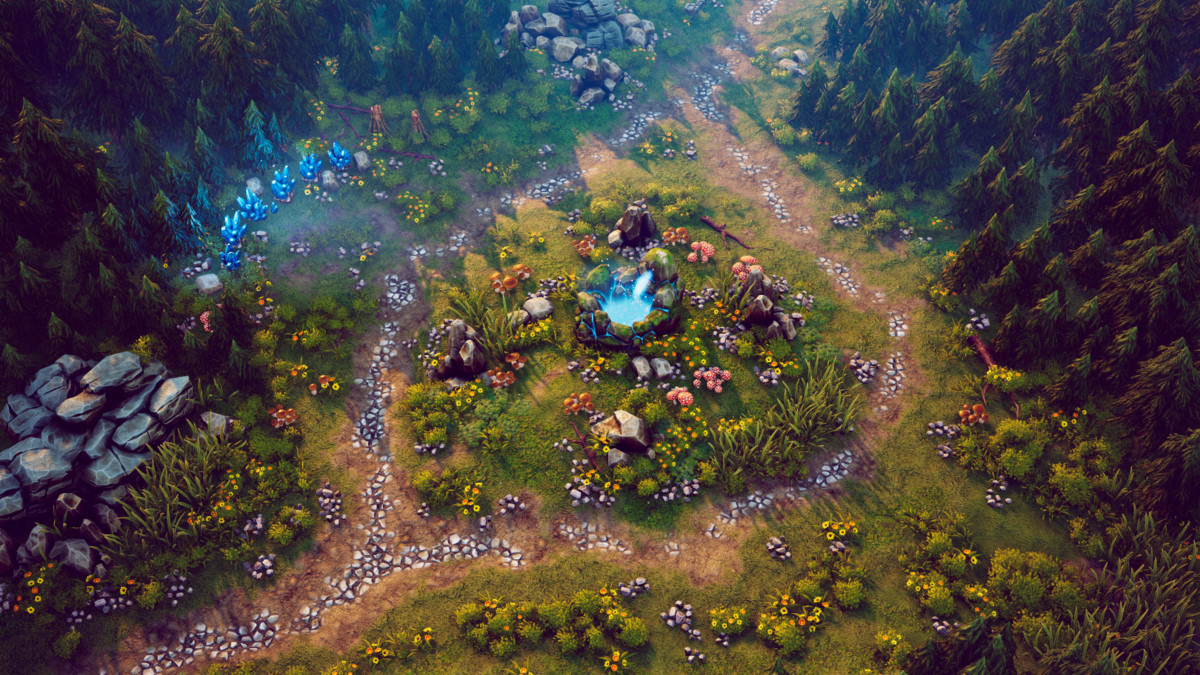 Top Down - Fantasy Forest