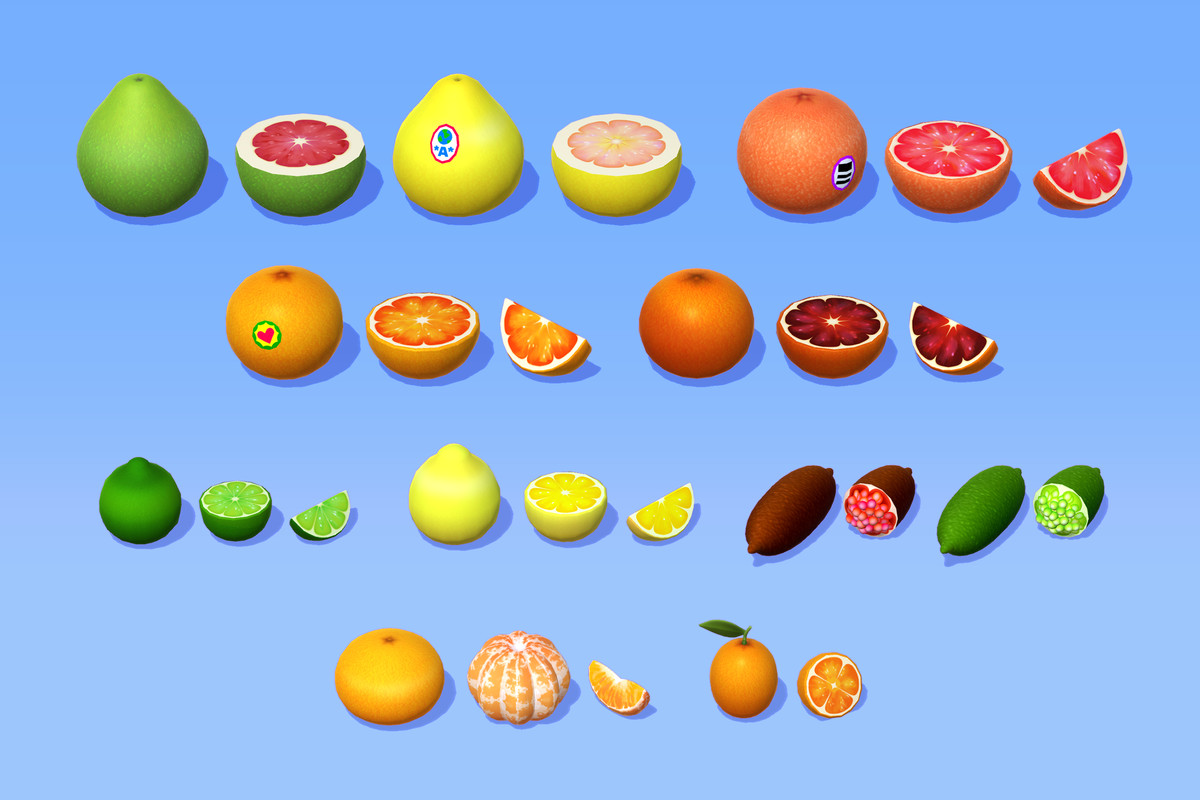 Fruit Market