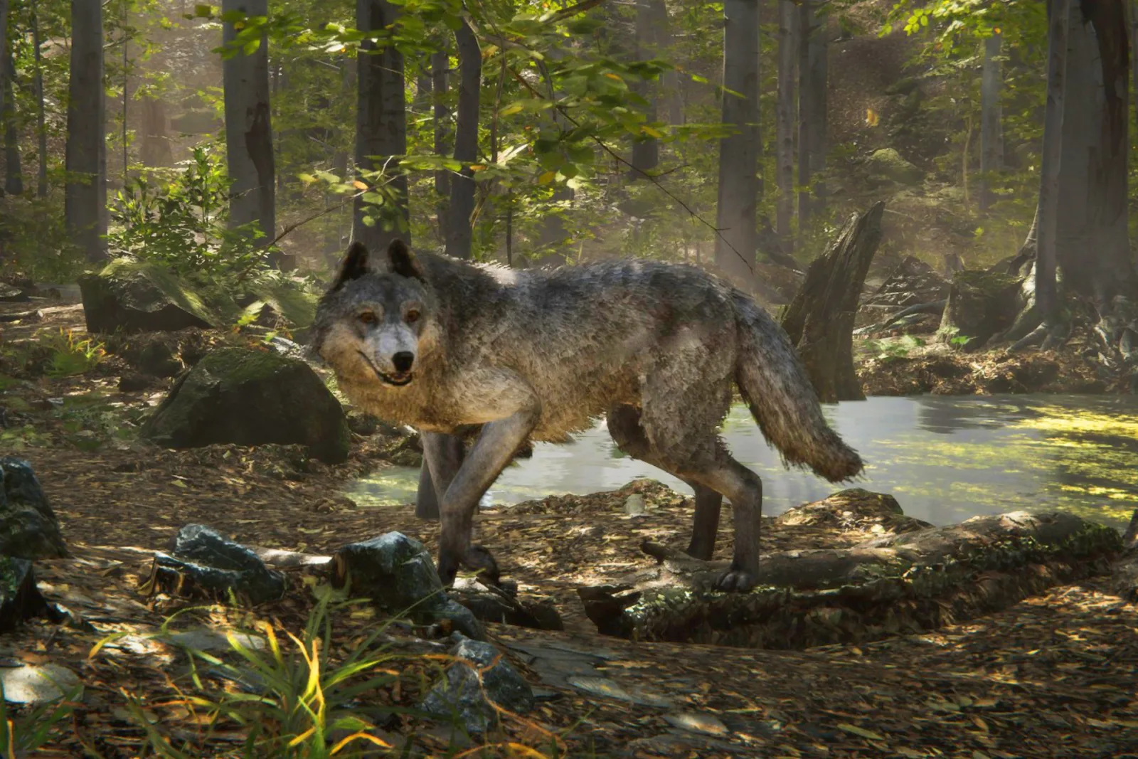 Realistic Wolf