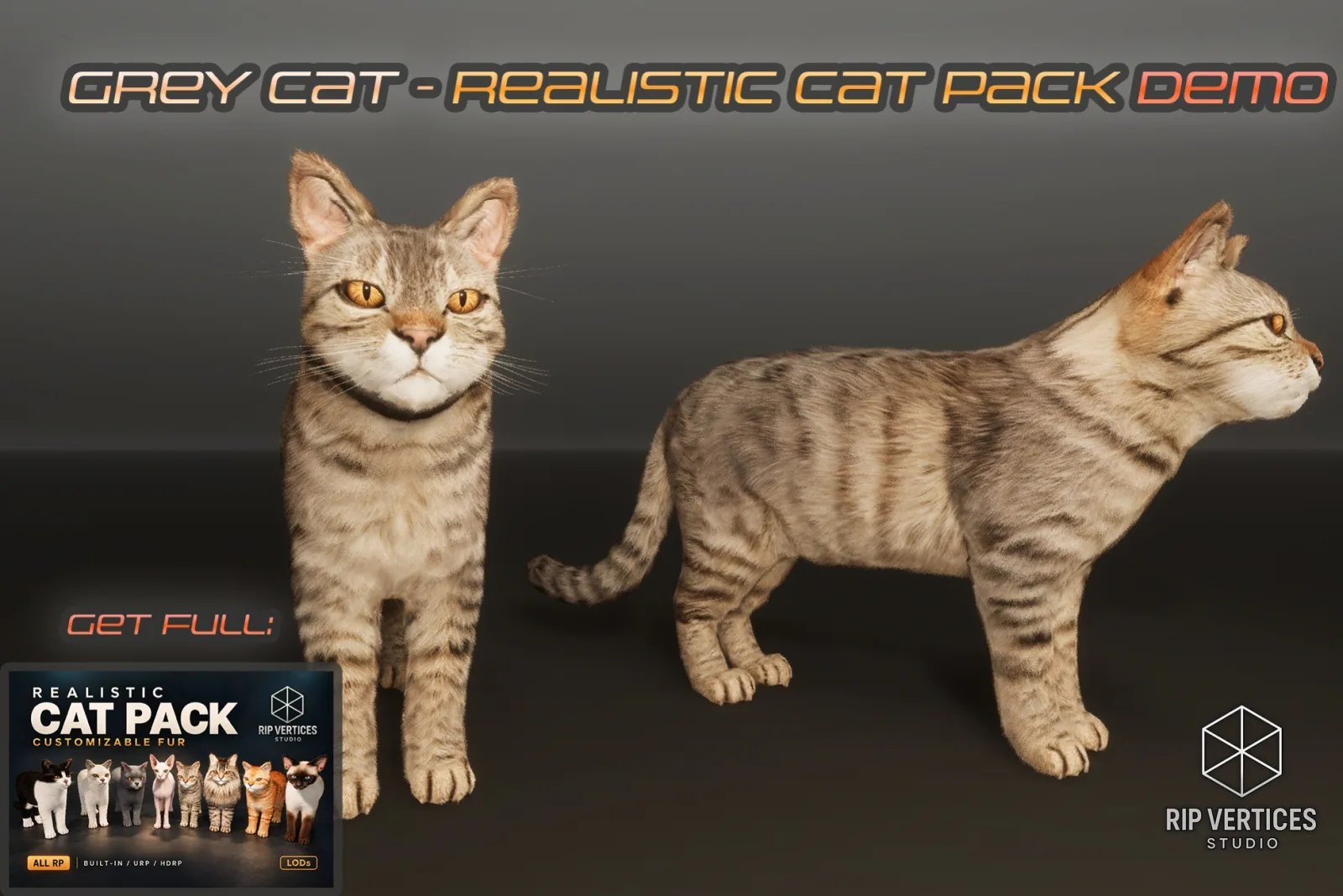 Grey Cat - Realistic Cat Pack Demo
