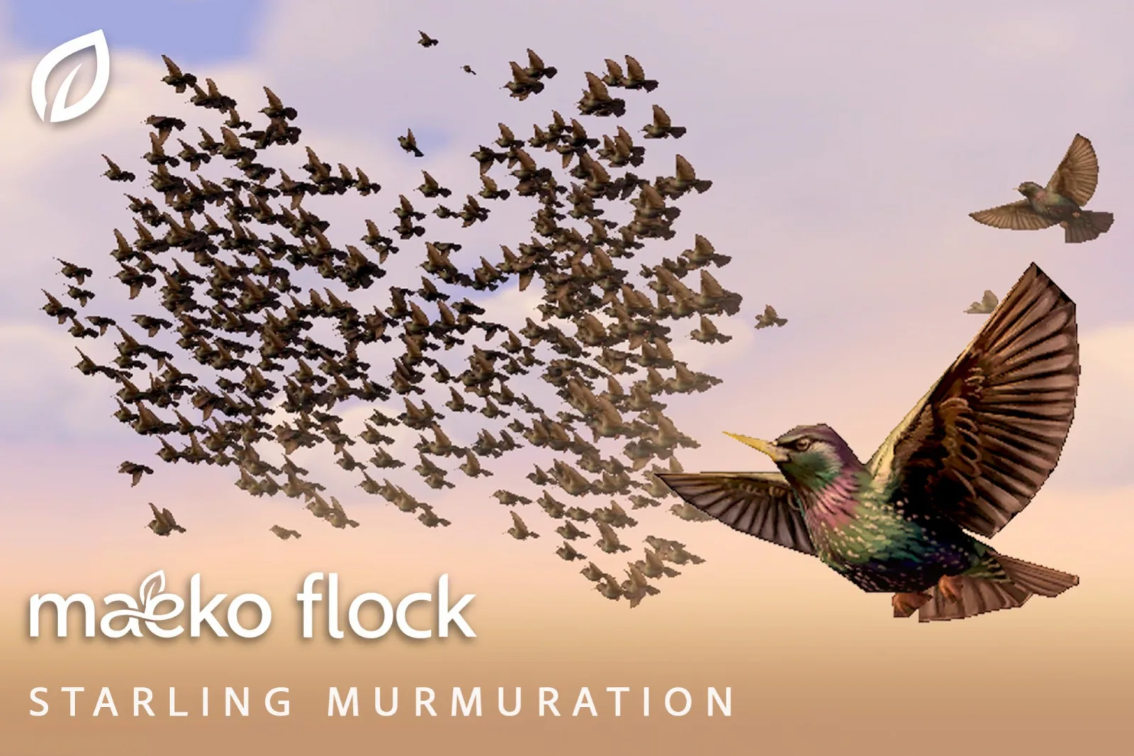 Maeko Flock - Starling Bird Murmuration