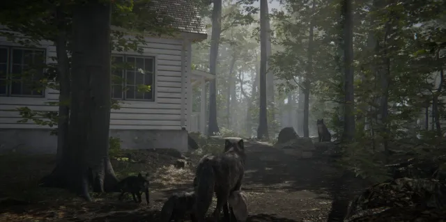 Realistic Wolf