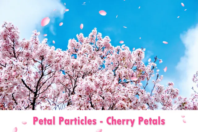 Petal Particles - Cherry Petals