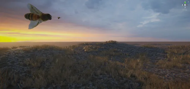 All Nature VFX