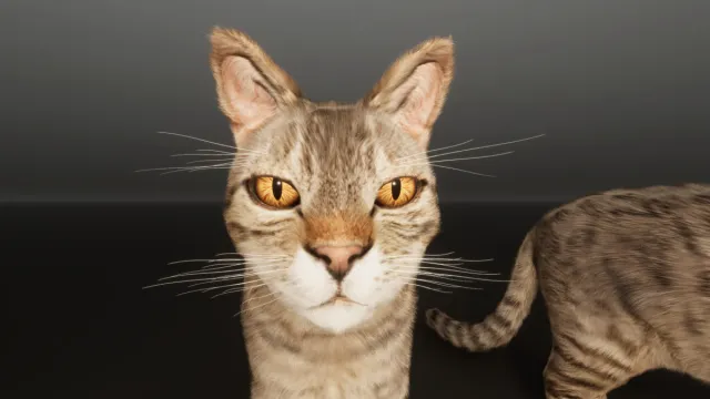 Grey Cat - Realistic Cat Pack Demo