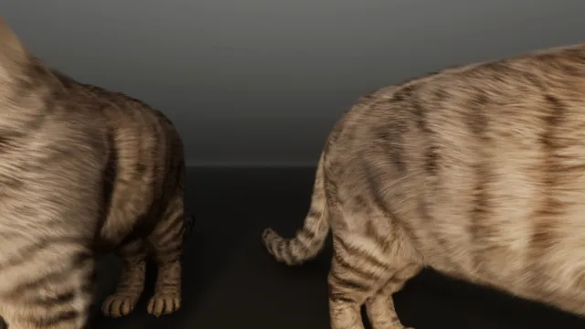 Grey Cat - Realistic Cat Pack Demo
