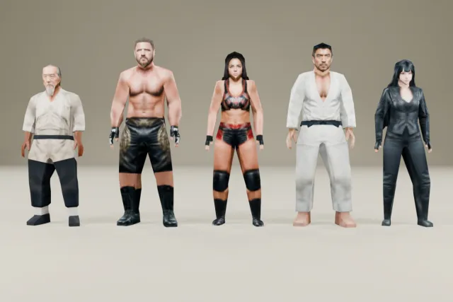 Low Poly Fighter Starter Pack