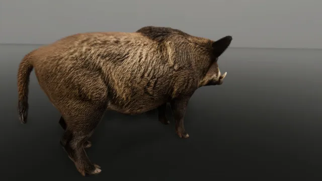WIld Boar - Free sample Ultrarealistic Forest Animals