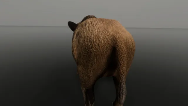 WIld Boar - Free sample Ultrarealistic Forest Animals