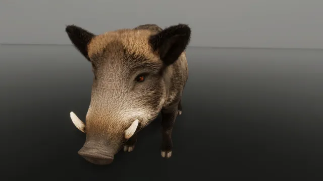 WIld Boar - Free sample Ultrarealistic Forest Animals