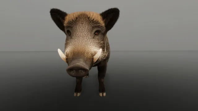 WIld Boar - Free sample Ultrarealistic Forest Animals