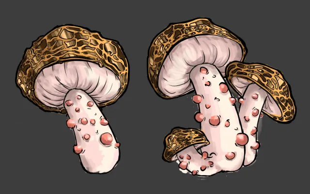 2D Hand drawing MUSHROOM icons