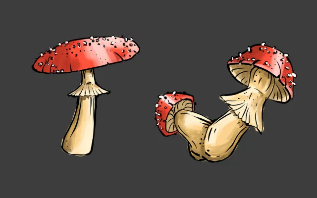 2D Hand drawing MUSHROOM icons